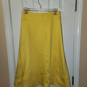 Lane Bryant A-Line Skirt NWT - Size 22